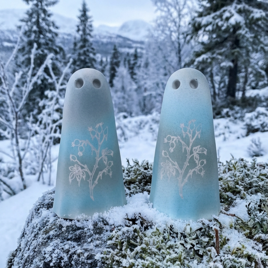 Ghost Merchant Ledger Entry - Frost Wraiths Gather