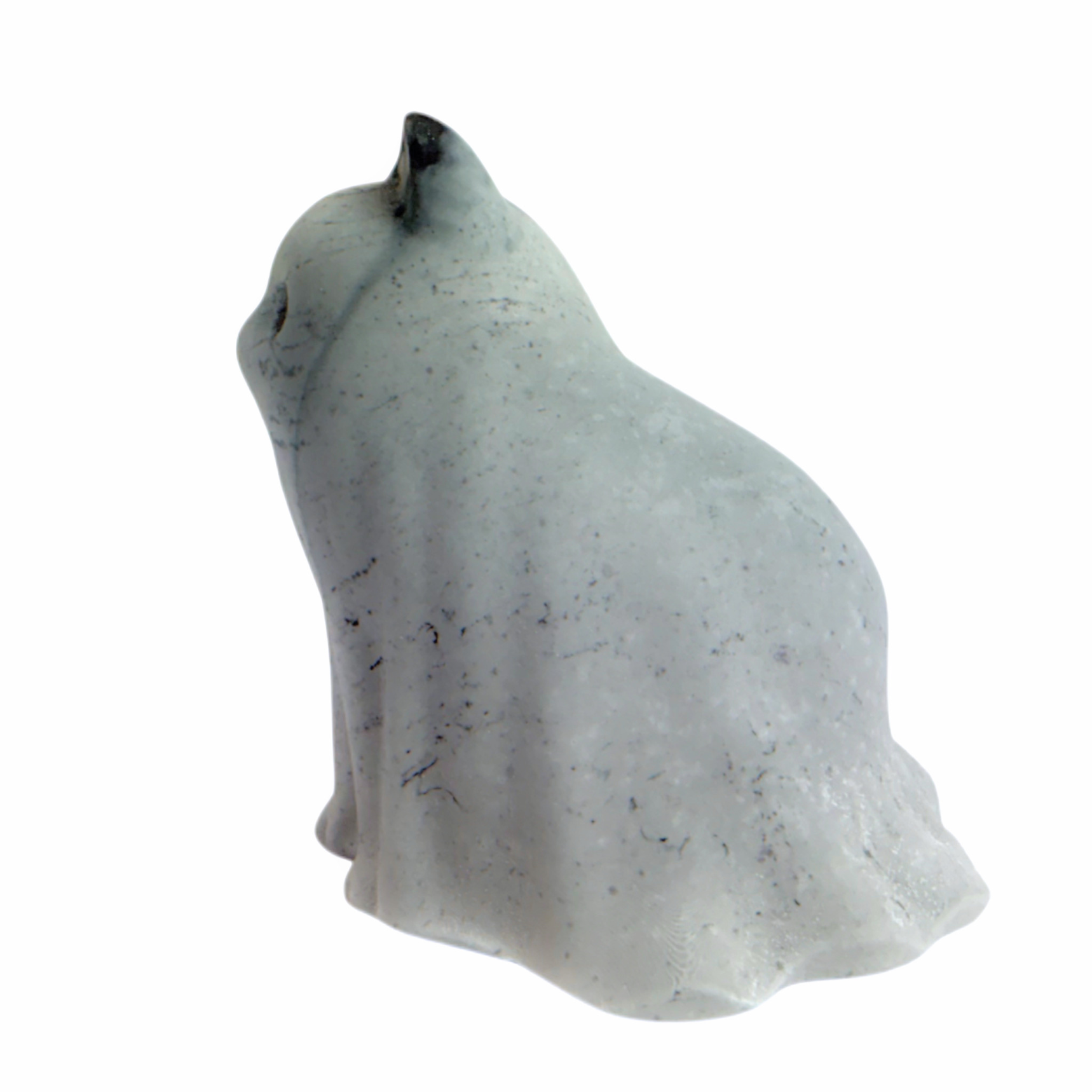 Kattegat Ghost Cat - Sultana