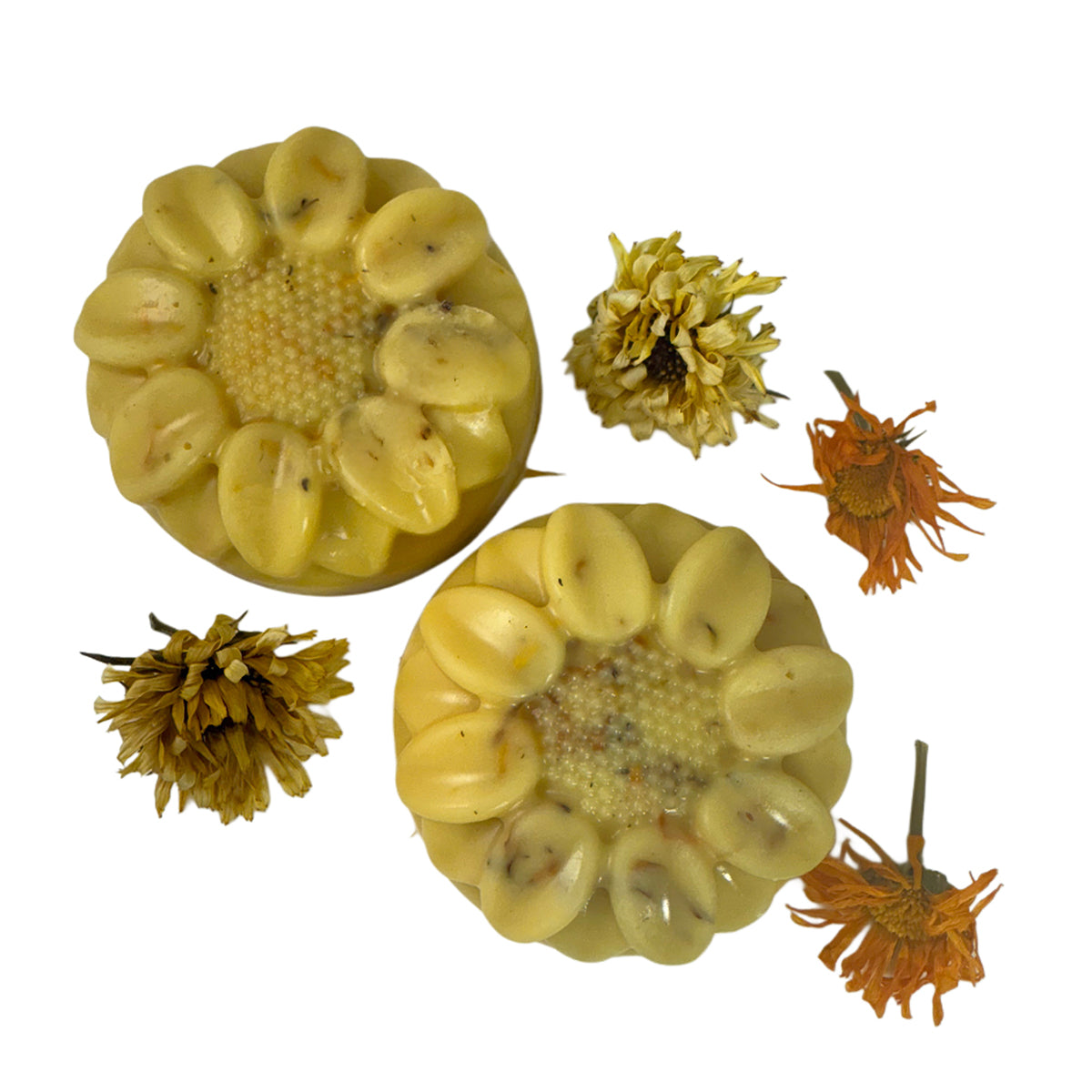 Stillflower Lotion Bars