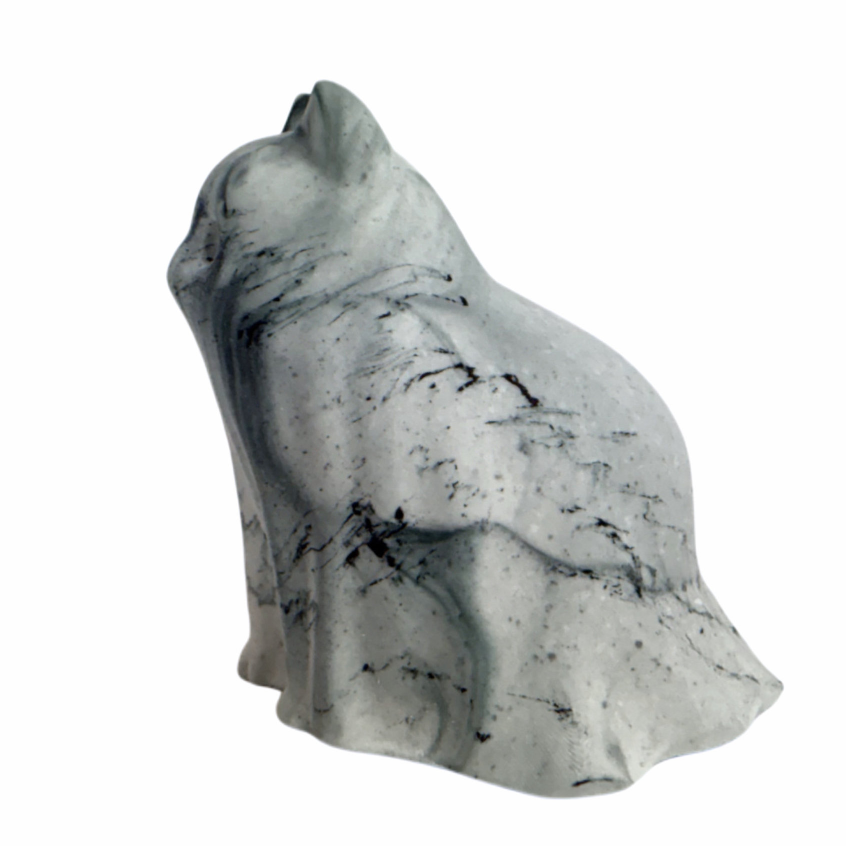 Kattegat Ghost Cat - Magellan